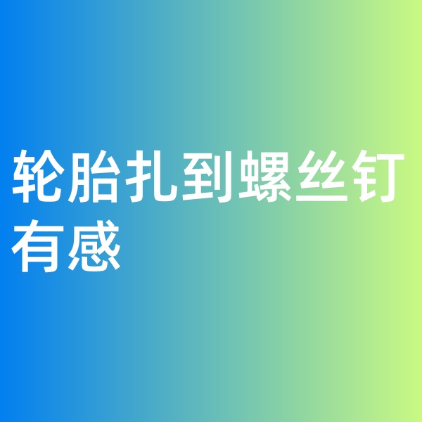 鈀碳回收，輪胎扎到螺絲釘有感